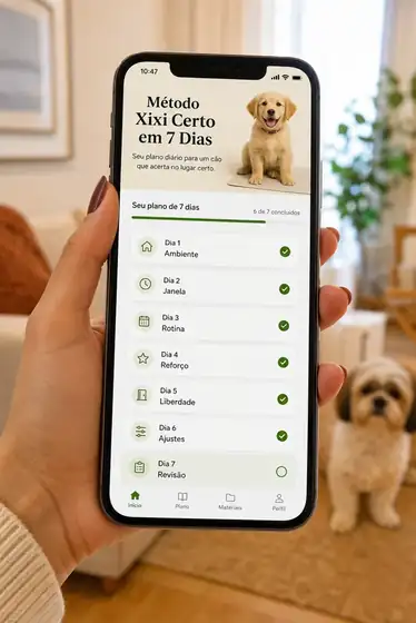 Área de membros do Método Xixi Certo no celular
