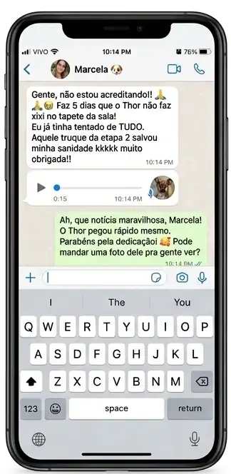 Conversa ilustrativa sobre treino no tapete
